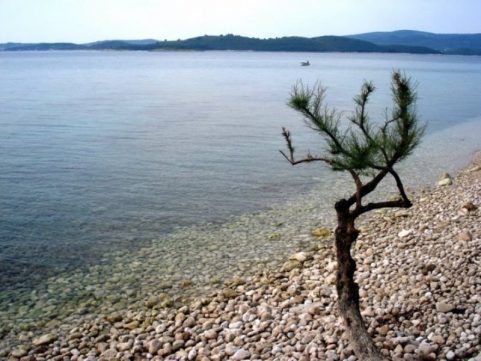 Čuvar plaže u zimskom periodu  