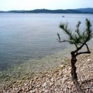 Čuvar plaže u zimskom periodu  