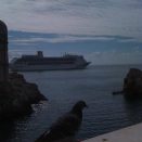 581340 3583759309217 909782267 n